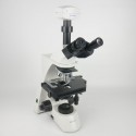 VWR VistaVision Upright Compound Microscope