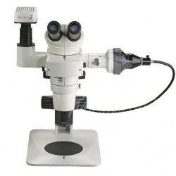 Unitron Z10 Zoom Trinocular Fluorescence Stereo Microscope 