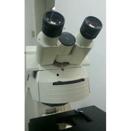 Carl zeiss axioplan2 microscope 